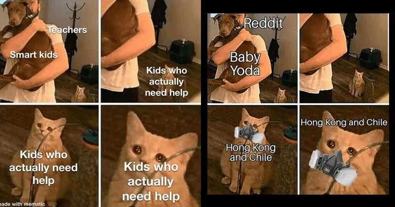 Crying Cat Know Your Meme