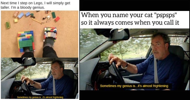 You Are A Genius You Moron Meme