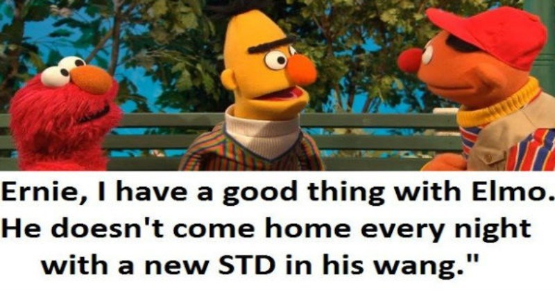 110 Funny Bert And Ernie Memes Straight From Sesame Street