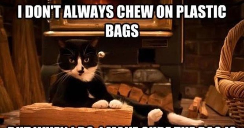 I Dont Always Fart But When I Do It Sounds Like A Harley