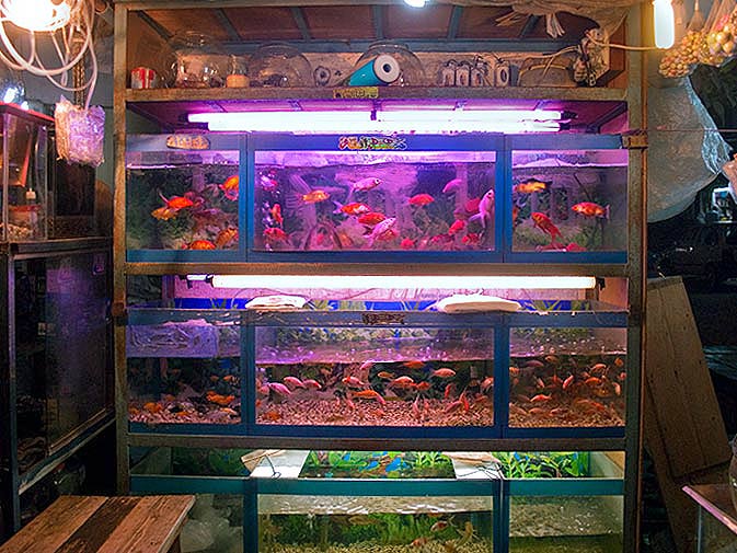 Let's go to "Buns" Road! Pakistan