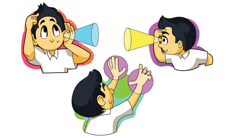 Tips What is your learning style? Newspaper