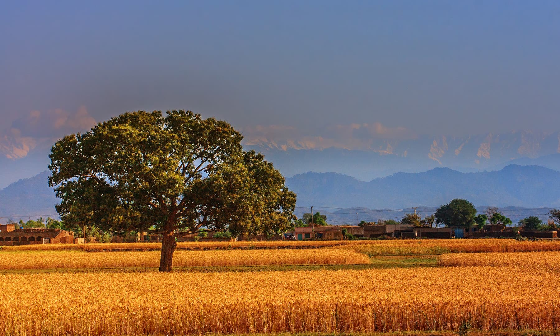 مرالہ کے نزدیک ایک گاؤں.— فوٹو سید مہدی بخاری۔