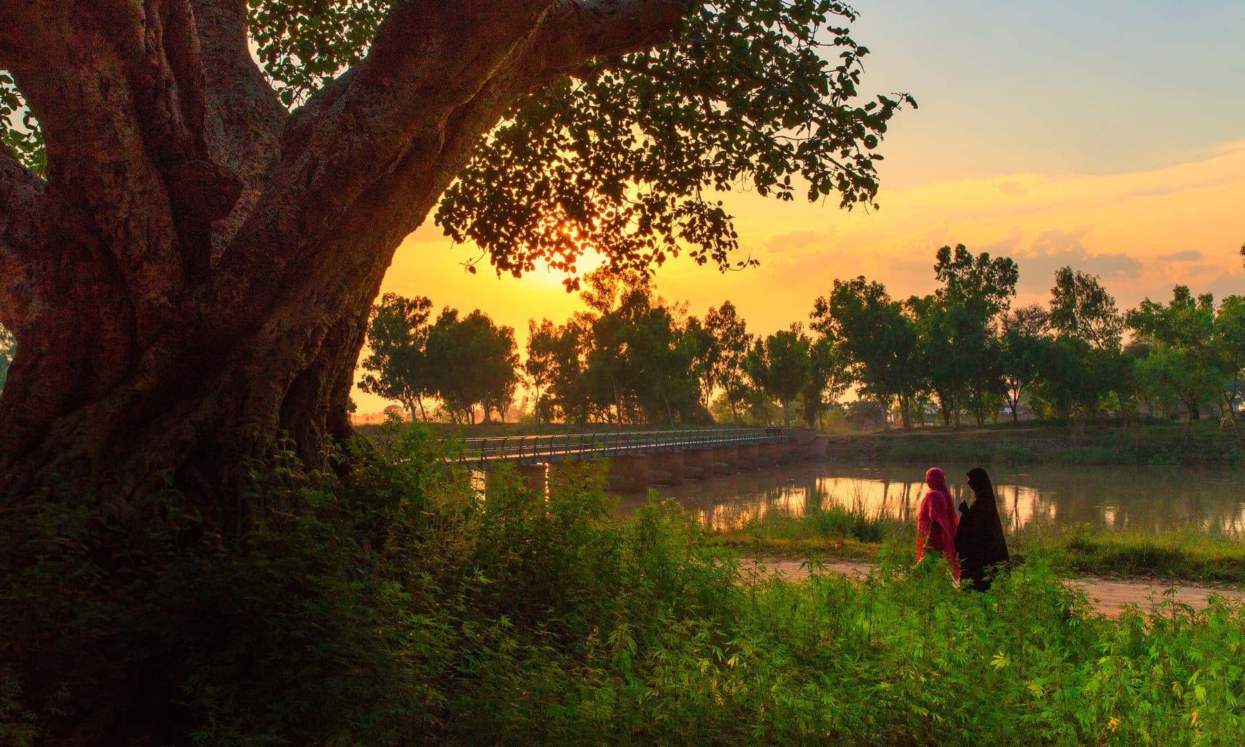 — فوٹو سید مہدی بخاری۔