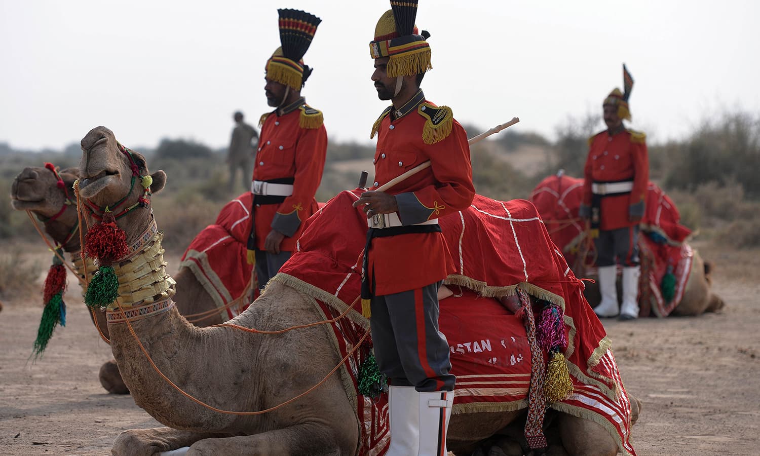 Thirsty for fame Pakistan's camelmounted military bagpipe band