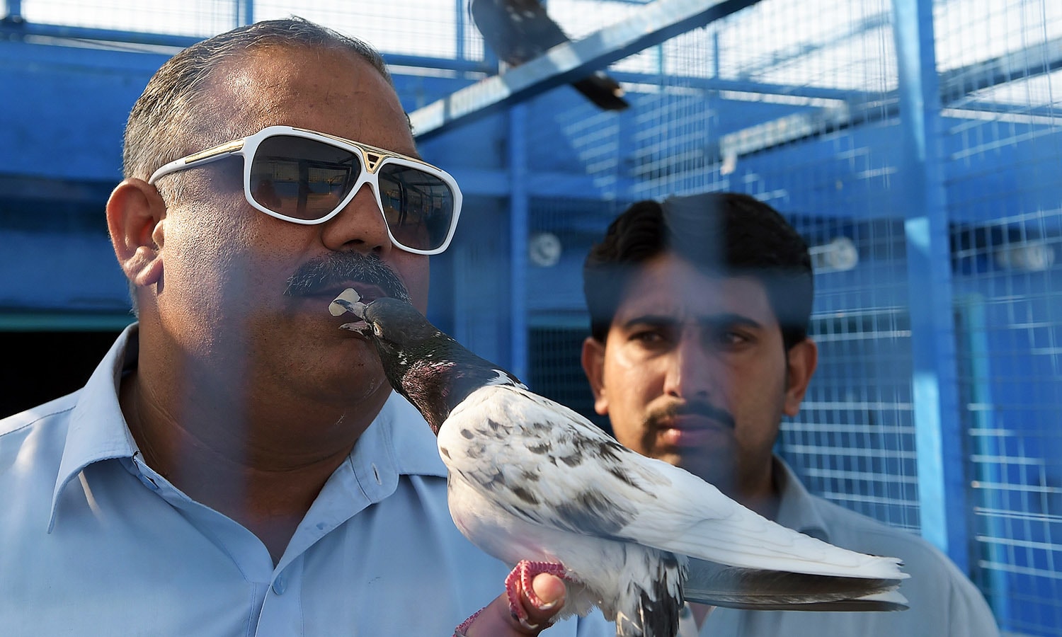 Where dreams take flight Pakistan's pigeon racers Pakistan