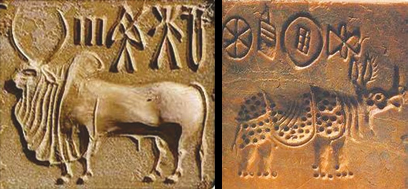 Trail of the Indus Newspaper