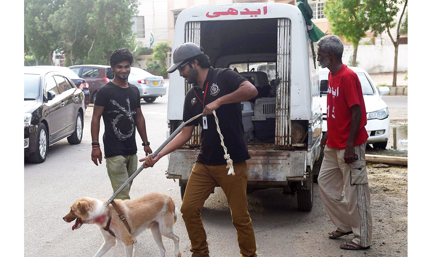Defending the underdogs Karachi vets criticise mass culling Pakistan