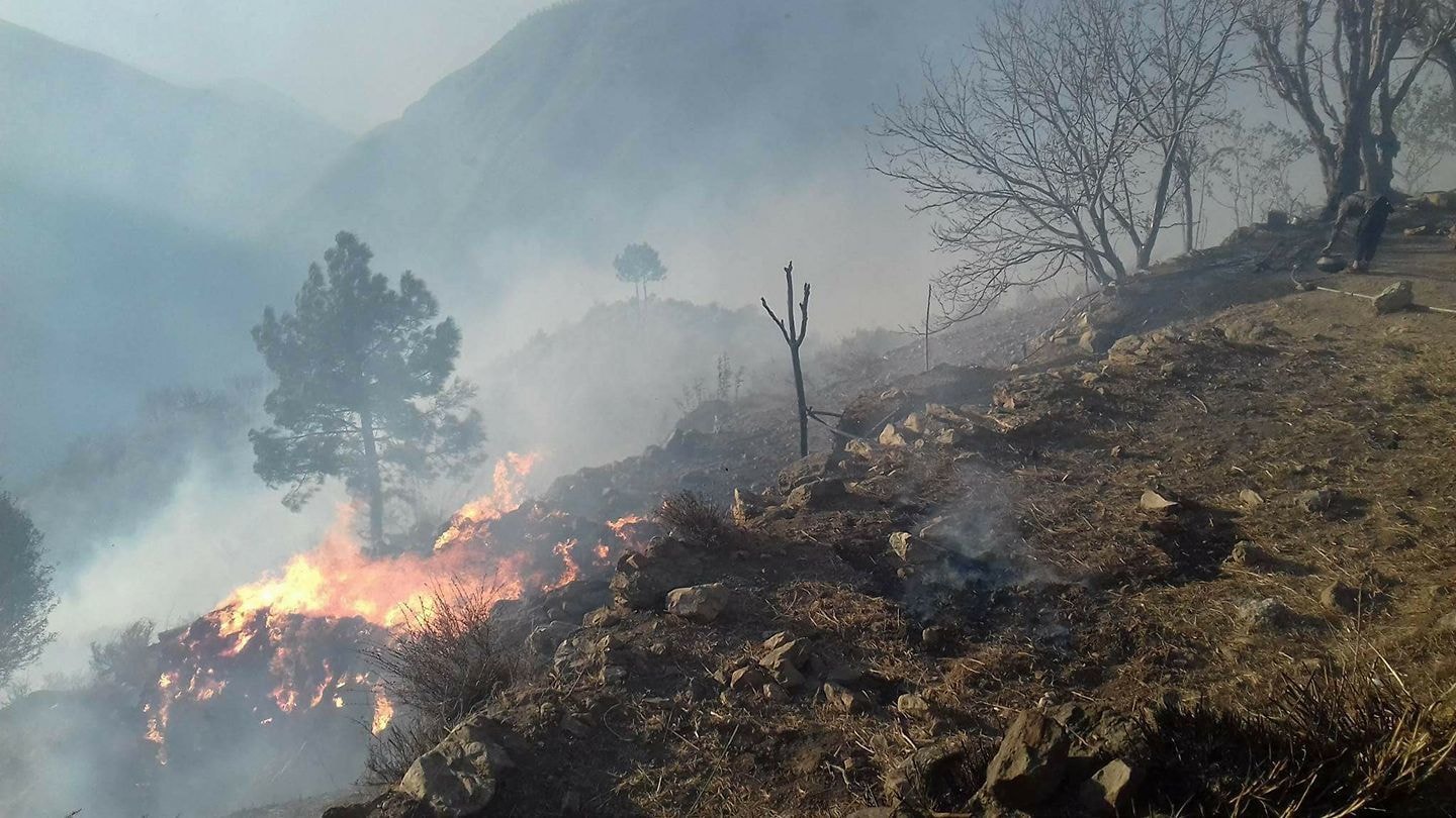 Poplar Forest Events 2023 Massive fire continues to spread in KP's Shangla district, destroying