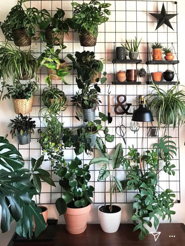 43 Cool Wall Grid Decor And Storage Ideas DigsDigs