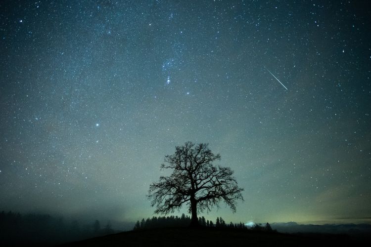 Der mdr wissen weltraumkalender verfolgt die wichtigsten astronomischen ereignisse und liefert sie direkt in den kalender. Qoiaspqrjlzv7m