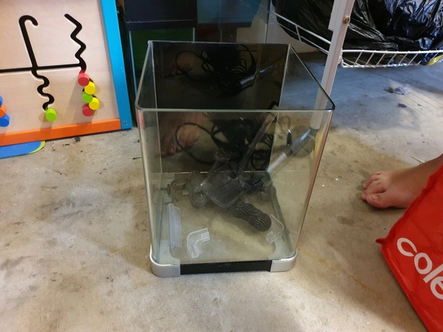 Beta fish tank Fish Gumtree Australia Redcliffe Area Margate