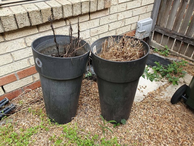Two large selfwatering plastic pots (free) Pots & Garden Beds