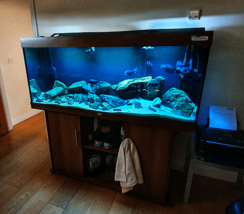 Juwel Rio 450 aquarium in Soham, Cambridgeshire Gumtree