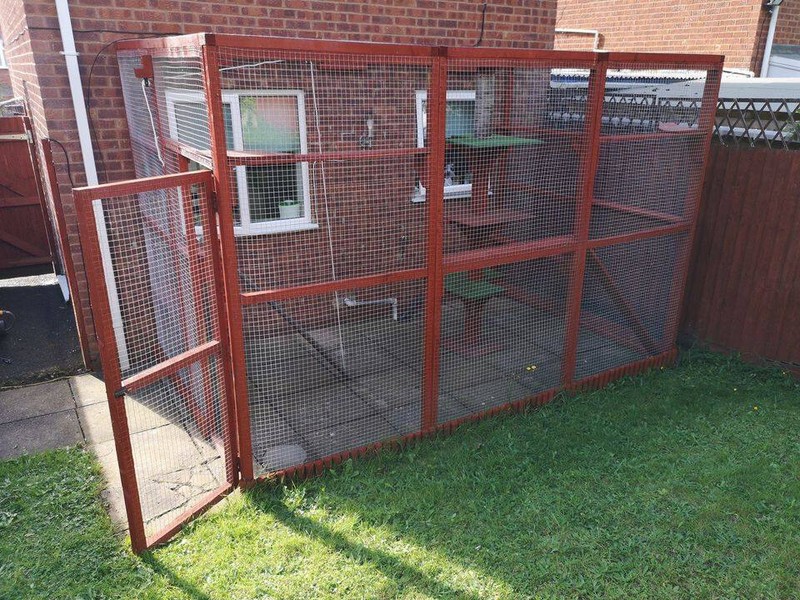 Outdoor Cat Enclosure for sale in UK View 55 bargains