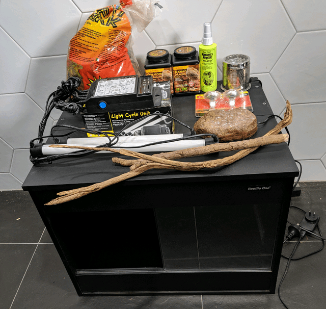 Reptile One enclosure vivarium with accessories Reptiles
