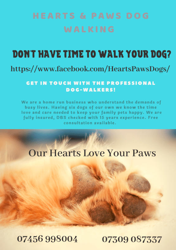 Hearts & Paws Dog Walking, Pet Taxi & Pet Sitting Services in Hull
