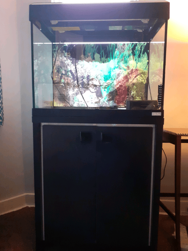 Fish tank Fluval Roma 90l black with in Trinity