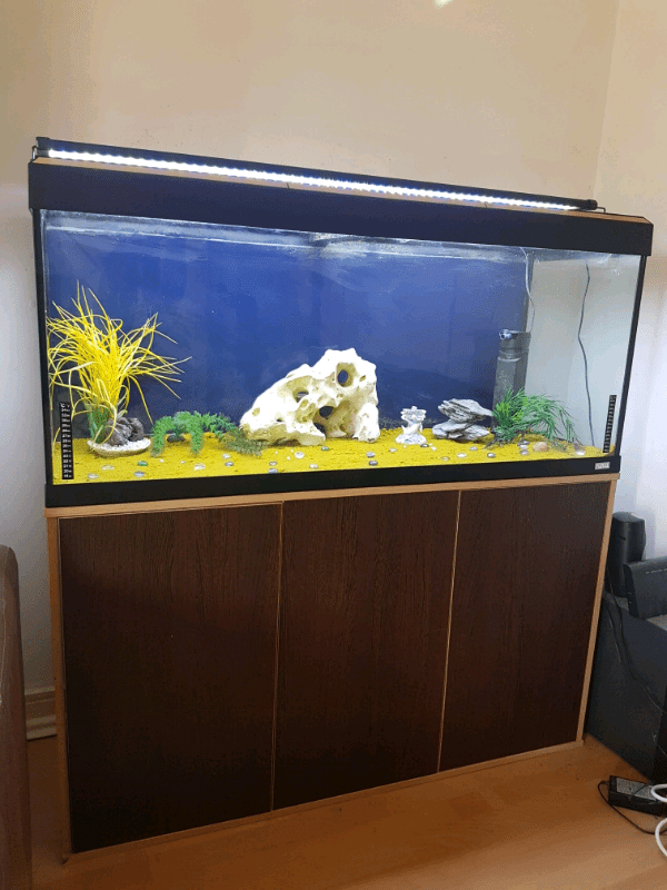 Fluval 240 liter fish tank and Stand For Sale full set up
