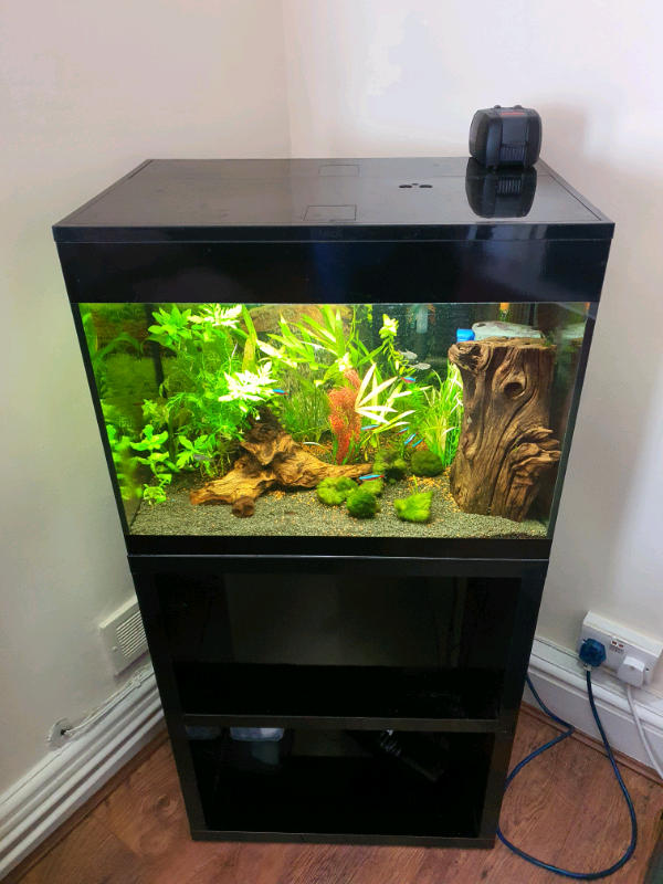 Full fish tank set up, tropical aquarium in Manchester Gumtree