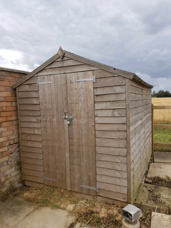 8 x 6 ft shed in Ipswich, Suffolk Gumtree
