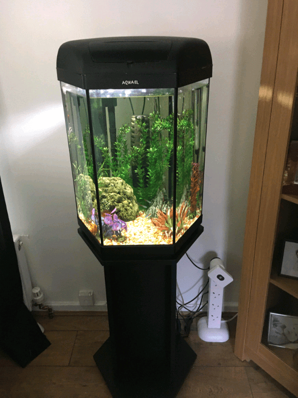 Aquael hexagon fish tank full set up 60 litres with stand