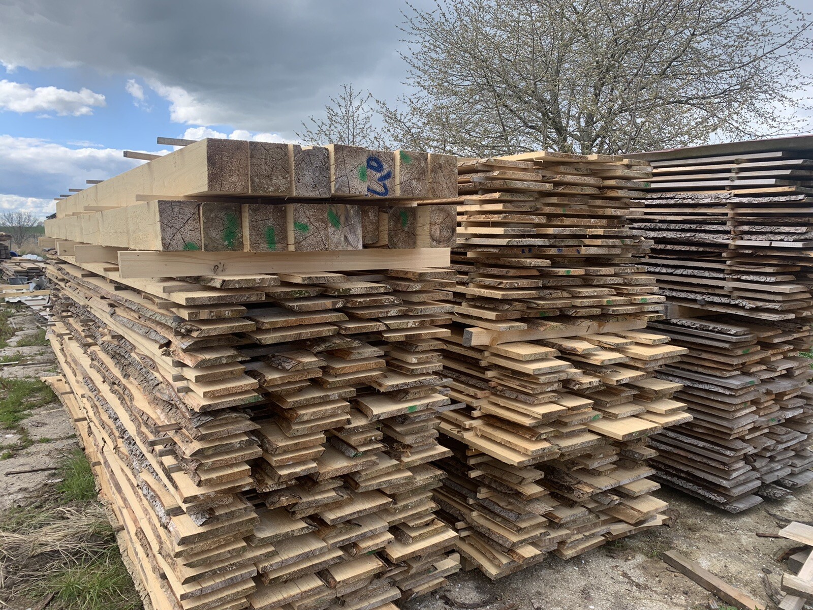 Bauholz Fichte unterschiedliche