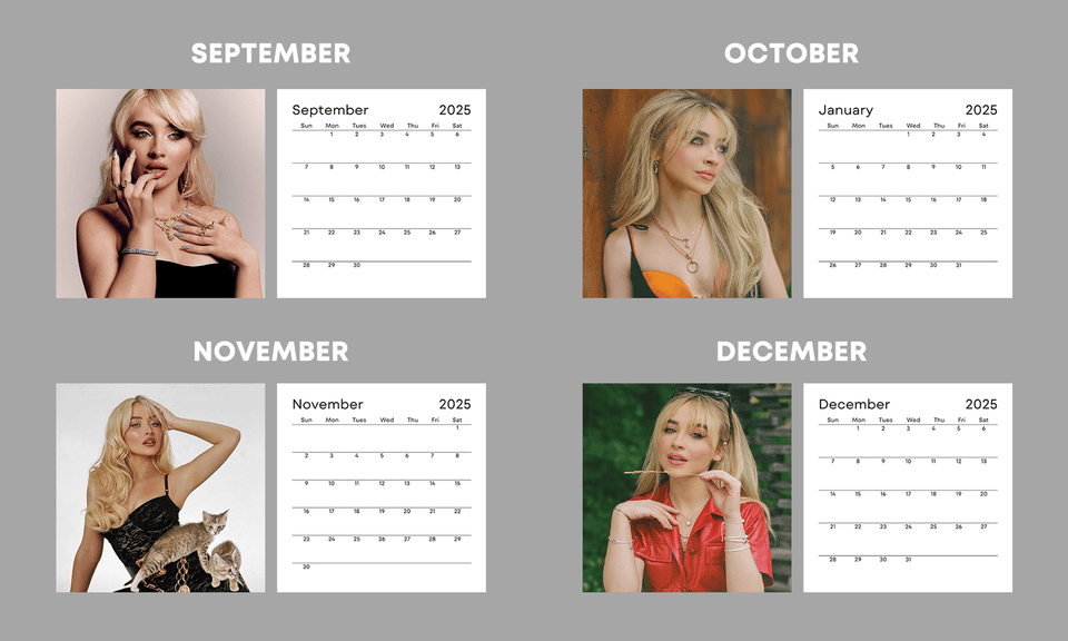Sabrina Carpenter 2026 Celebrity Wall Calendar Stunning Photos for
