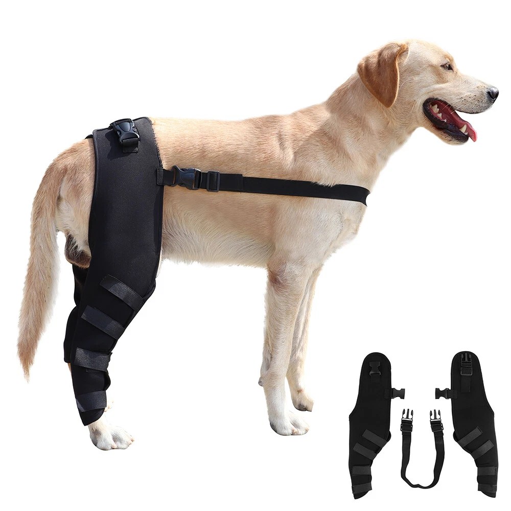 Do They Make Knee Braces For Dogs