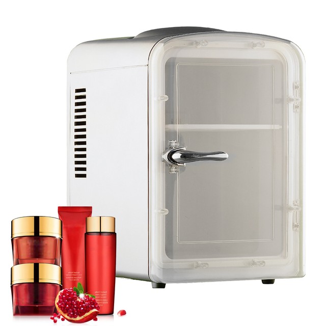 Mini 4L Cosmetic Fridge Beauty Makeup storage Beverages Moving eBay
