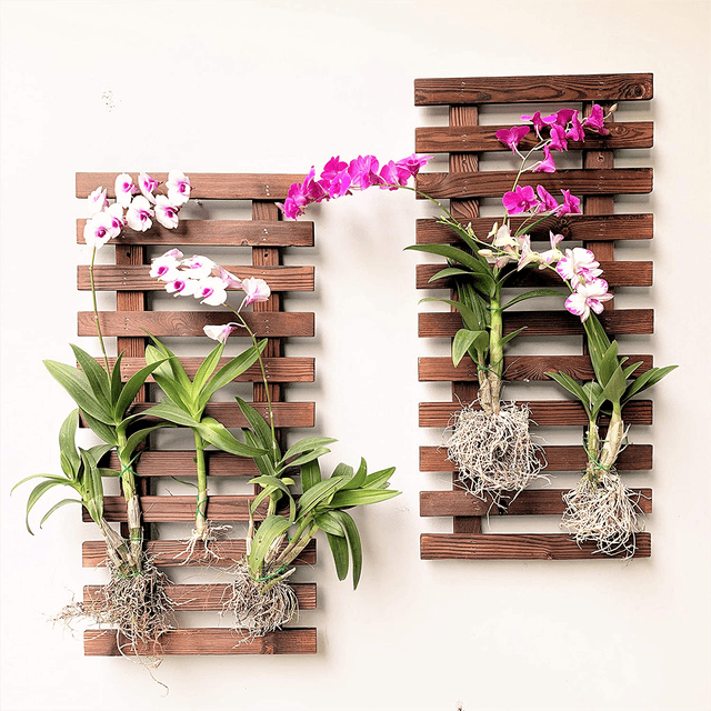 Wall Planter Hanging Planter for Indoor Plants, Plant