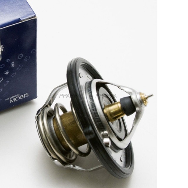 OEM Thermostat for Hyundai Santa Fe 20072009 eBay