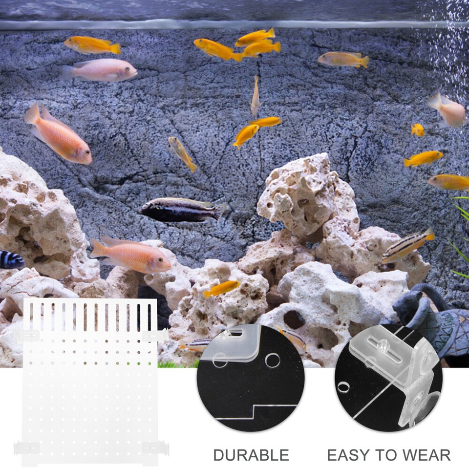 Fish Tank Dividers Aquarium Small Isolation Board Durable Supplies eBay