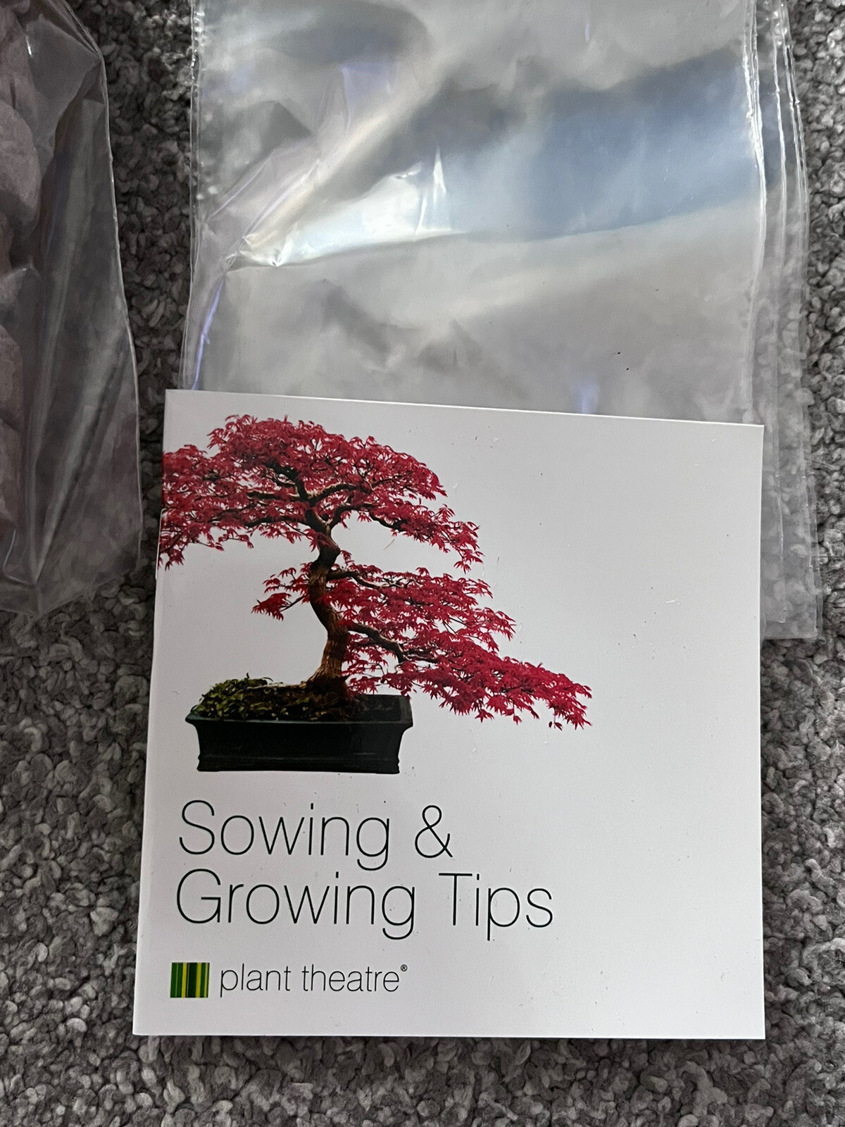 Plant Theatre Bonsai Kit Trio Grow Your Own Bonsai 3 Unique Trees