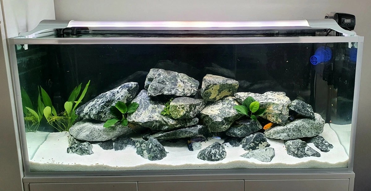 Diy Aquarium Decor Stone Terraces Two Birds Home