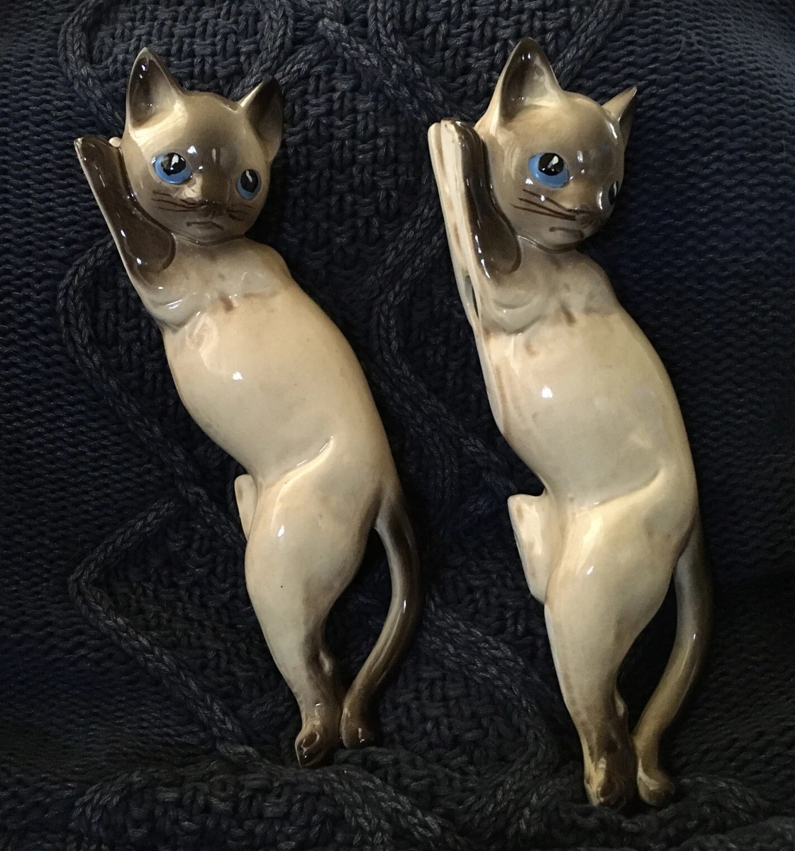 Do Siamese Cats Like To Climb? Why This Is Important! sample