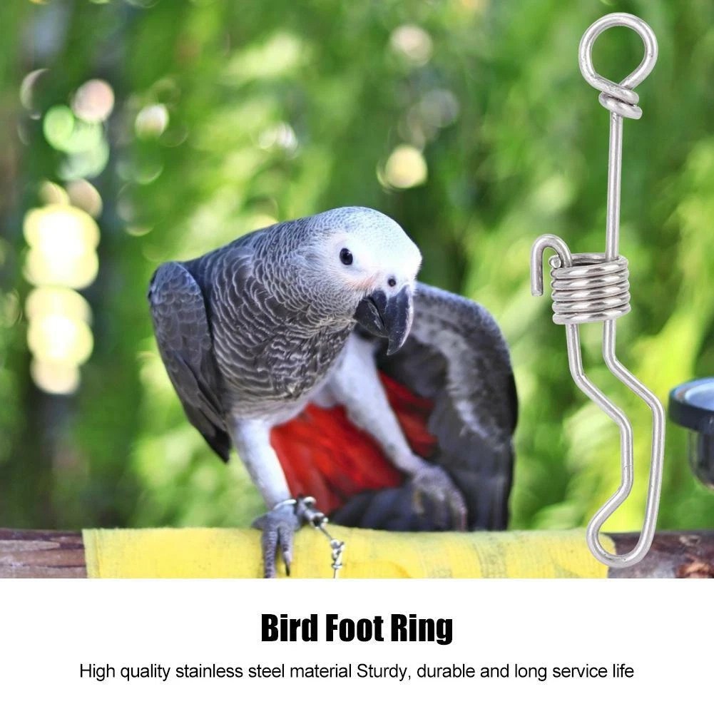Update 148+ bird foot ring netgroup.edu.vn
