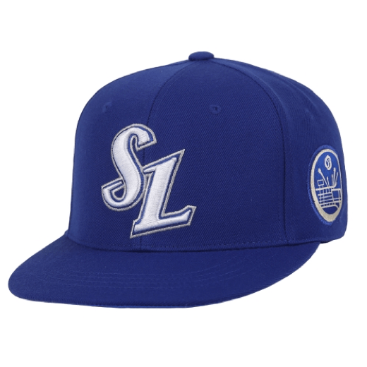 Korean Baseball League KBO Samsung Lions Home Snapback Men Women Cap