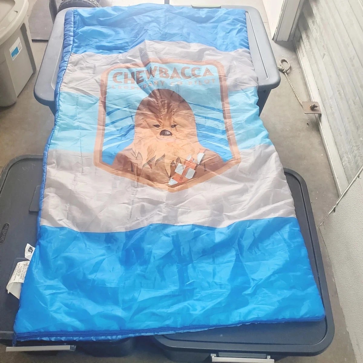 Discover 152+ sleeping bags for kids disney esthdonghoadian