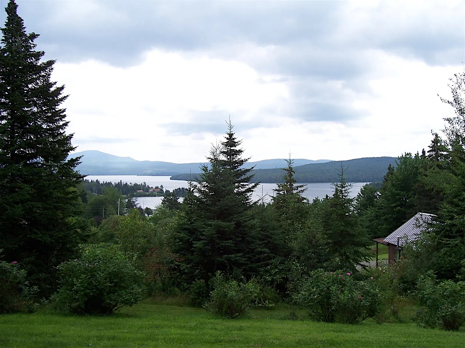 100_0247.JPG