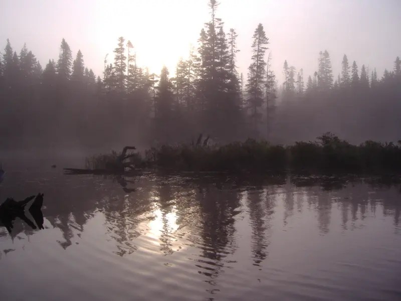 P7240004
