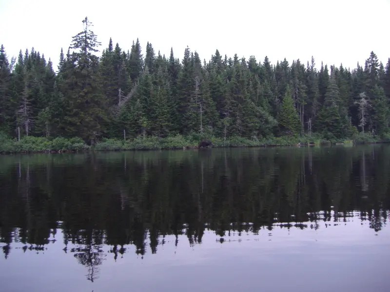 P7250025