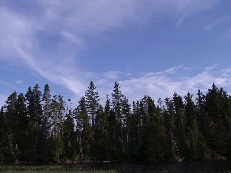 P7290123