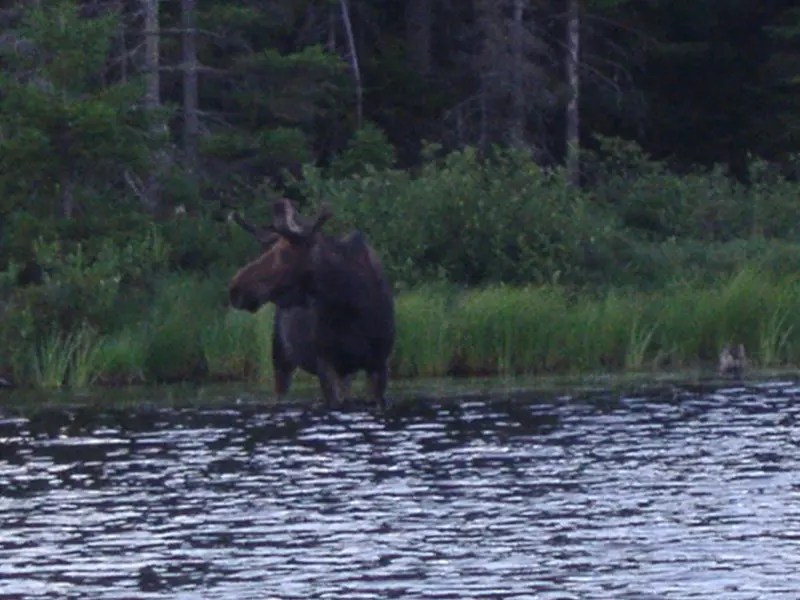 P7290150