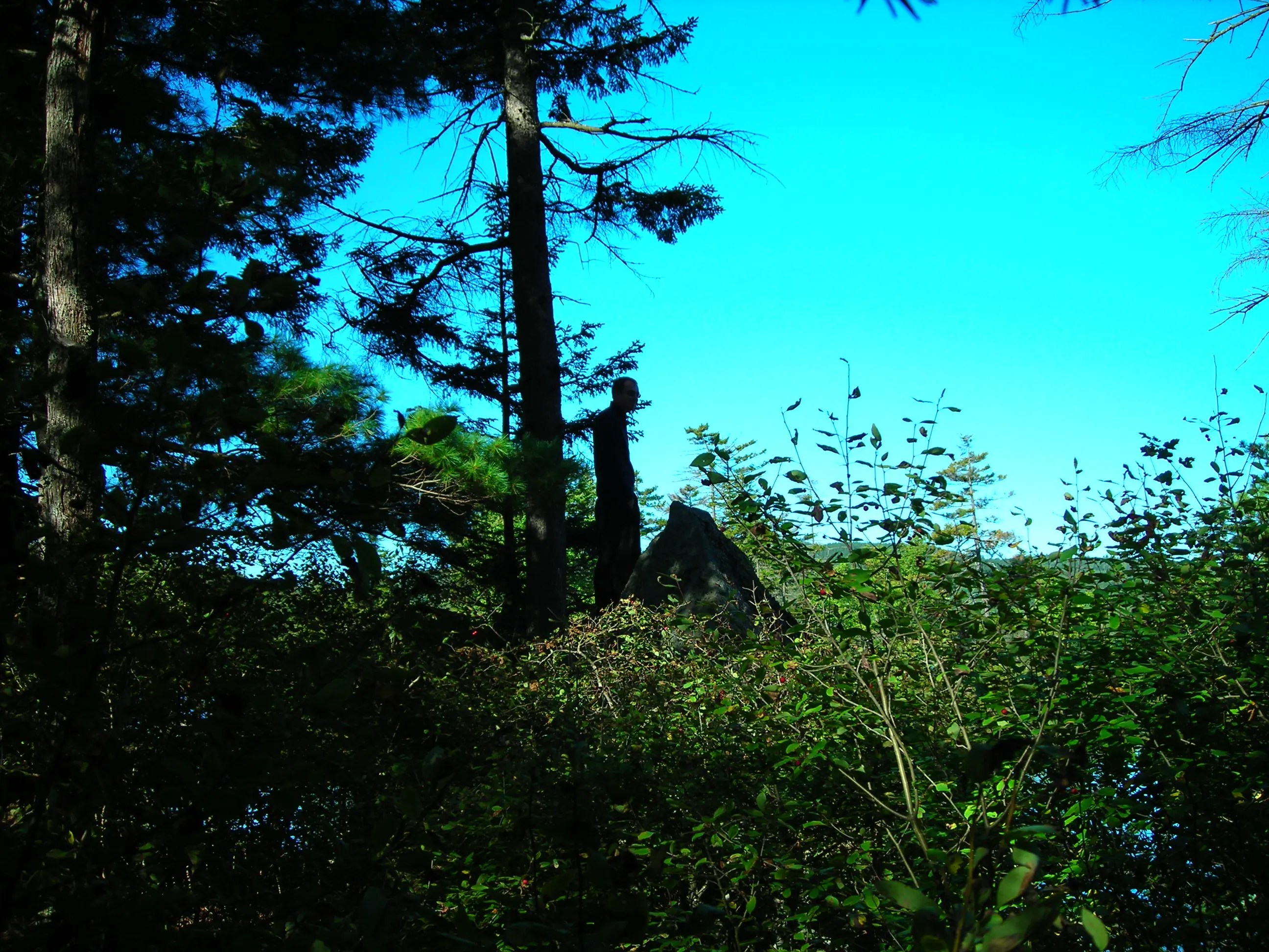 DSCN0895