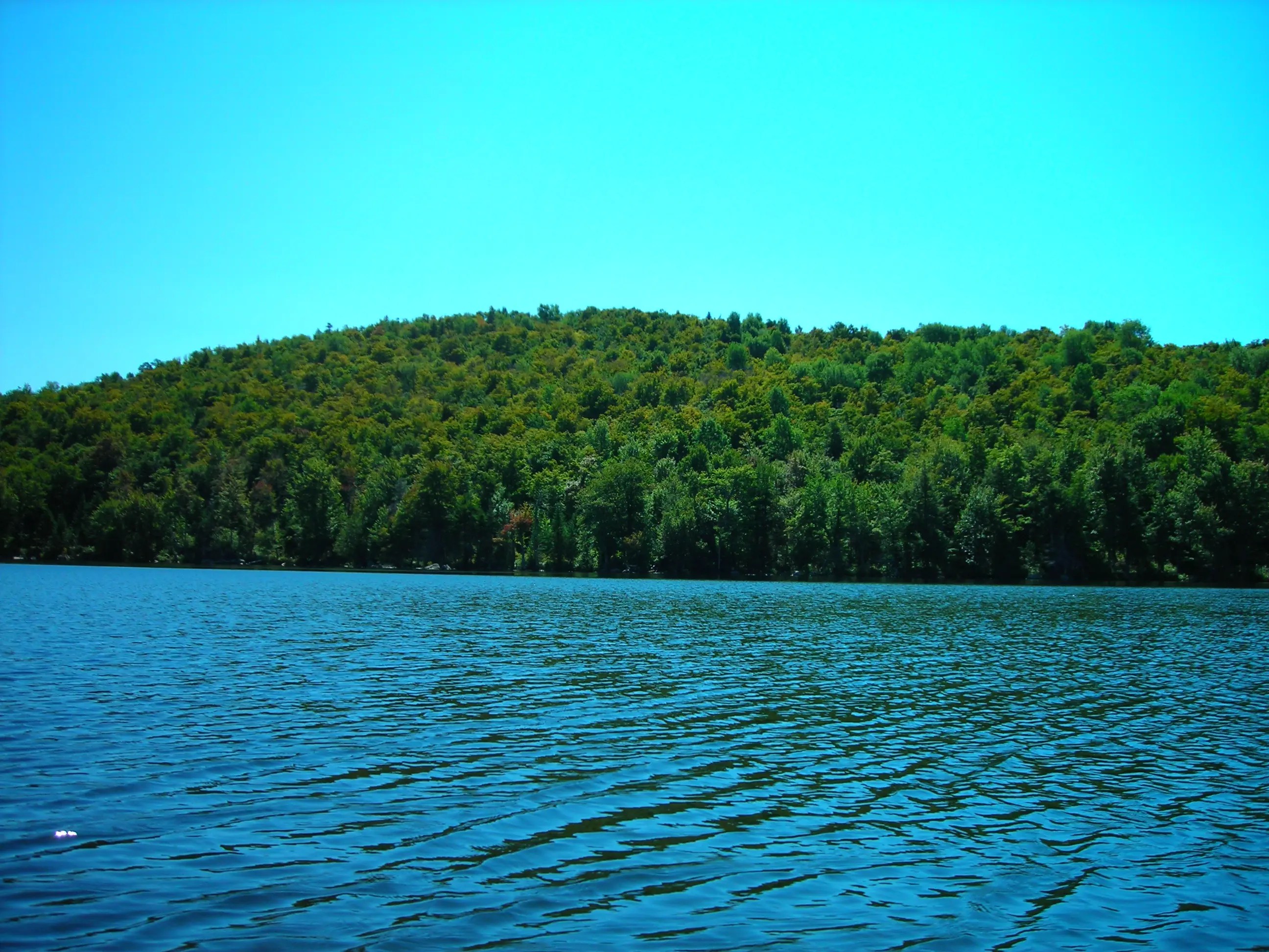 DSCN0907