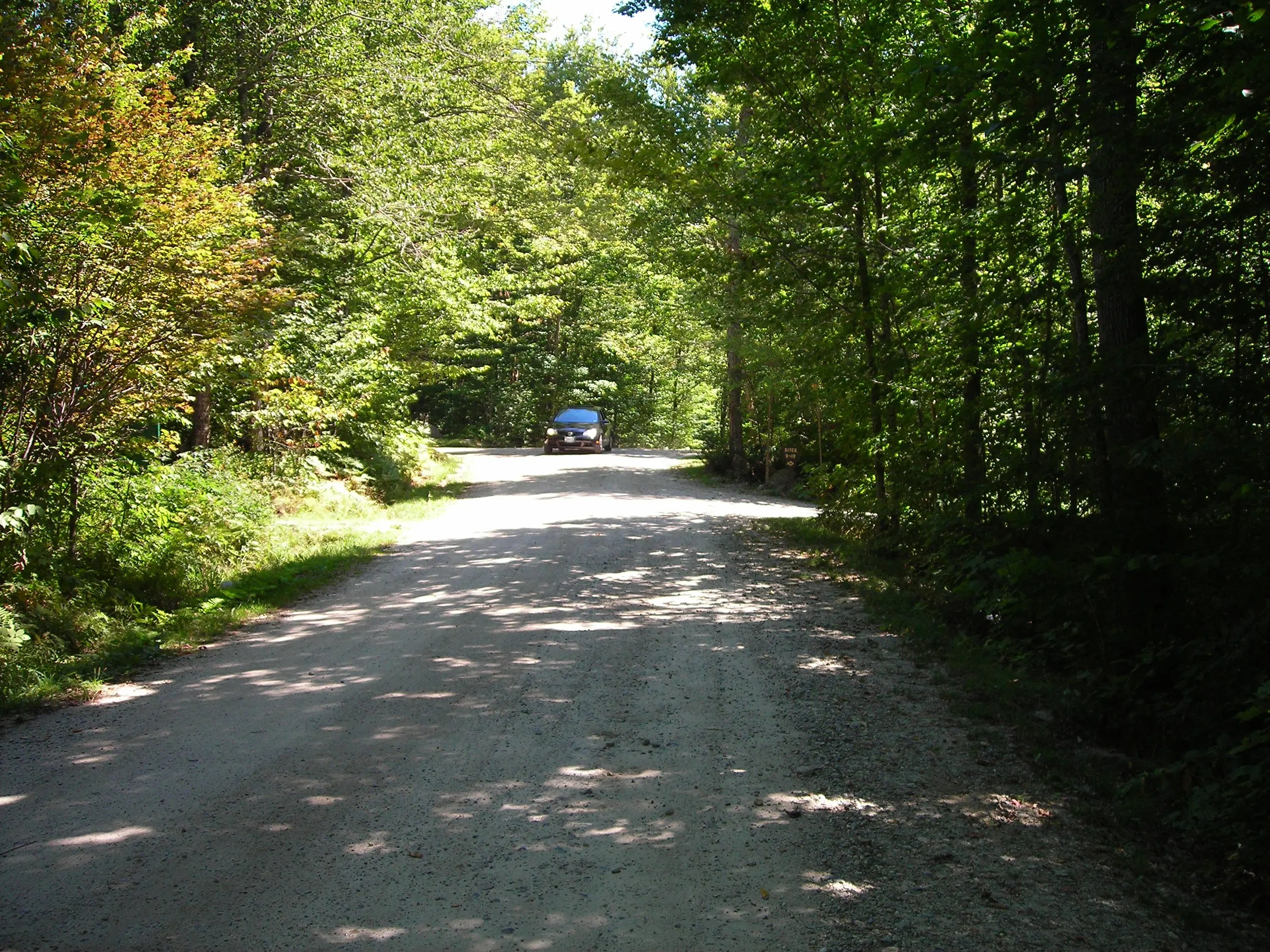 DSCN0968