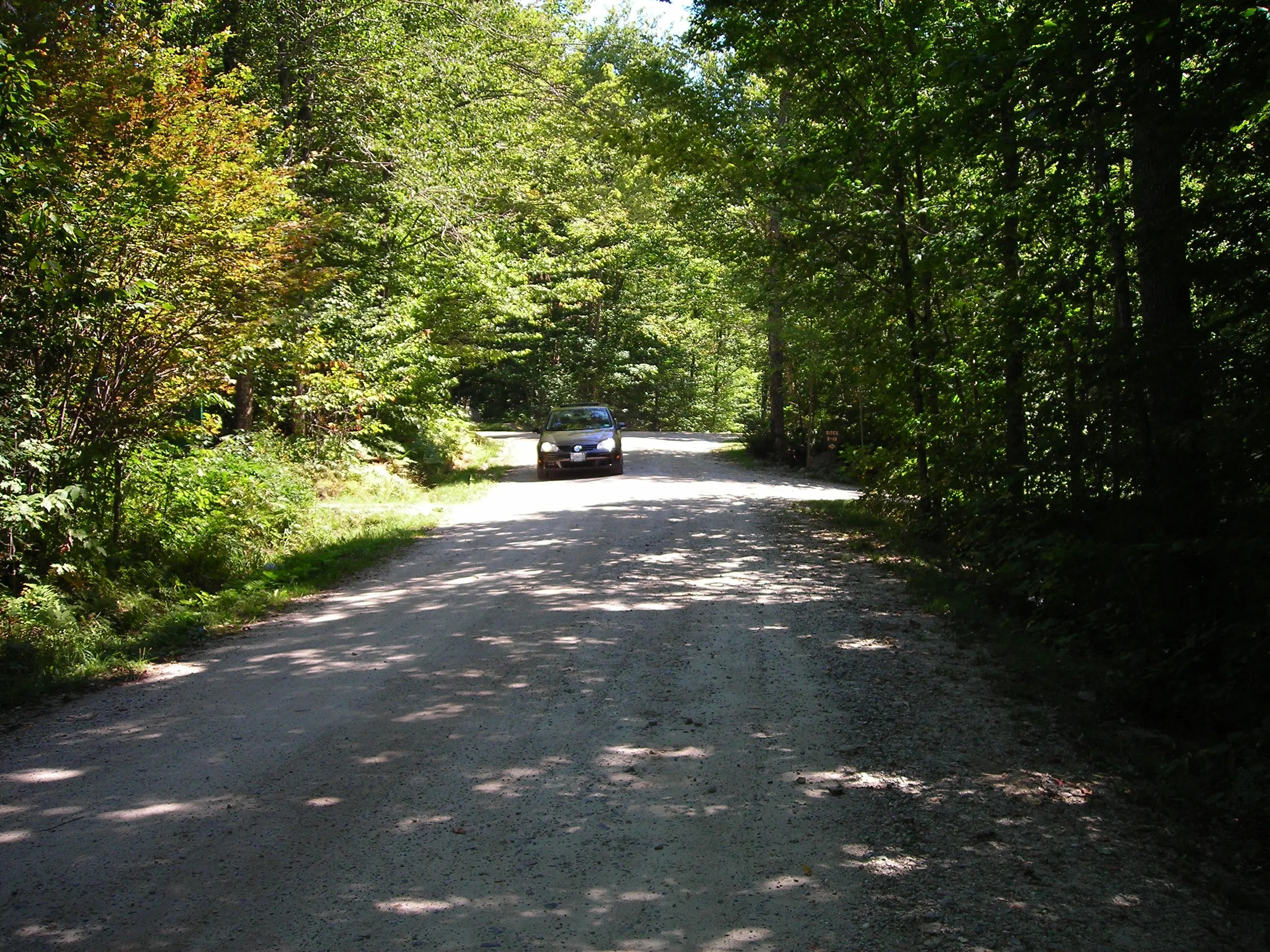 DSCN0970