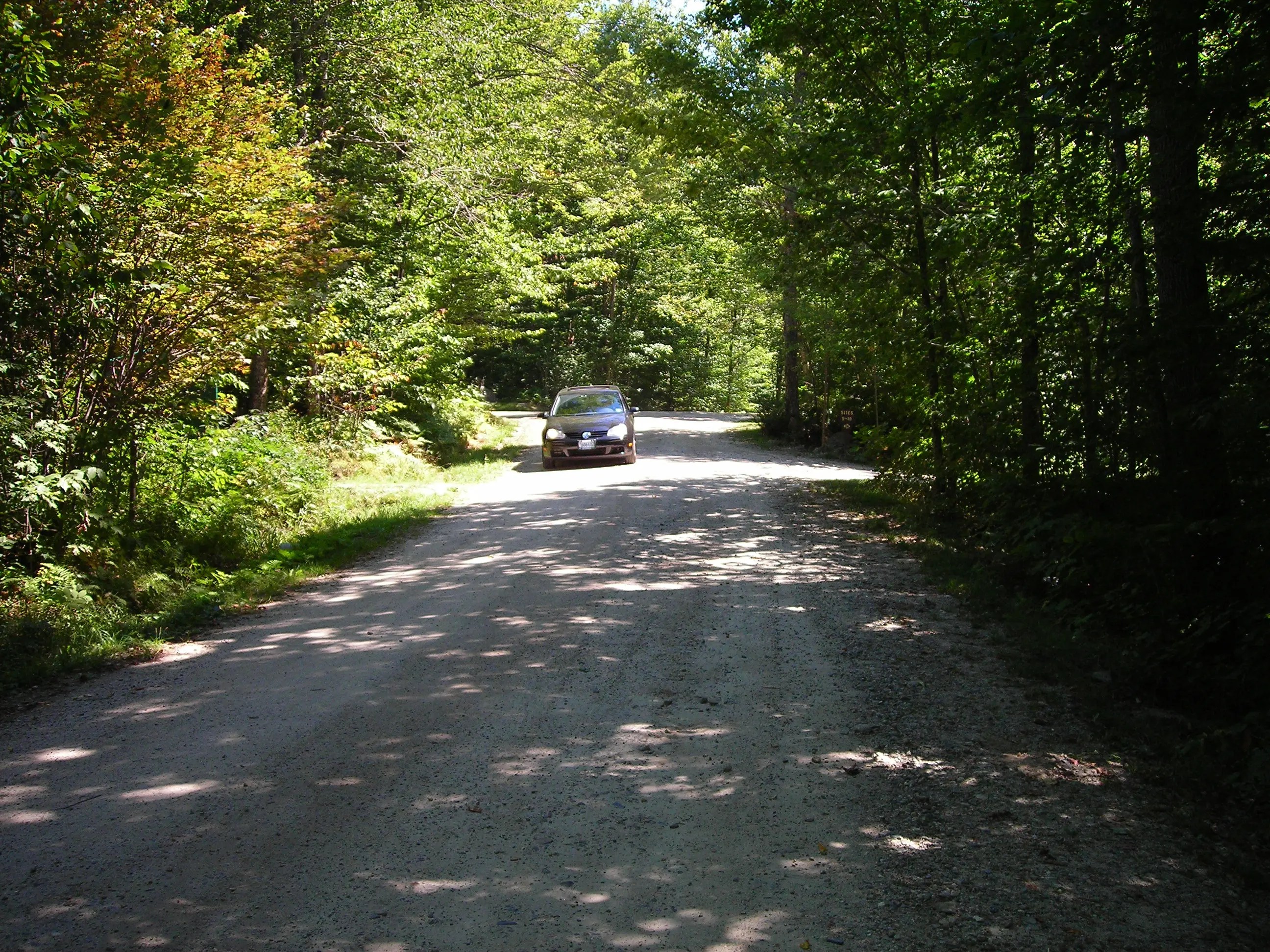 DSCN0972