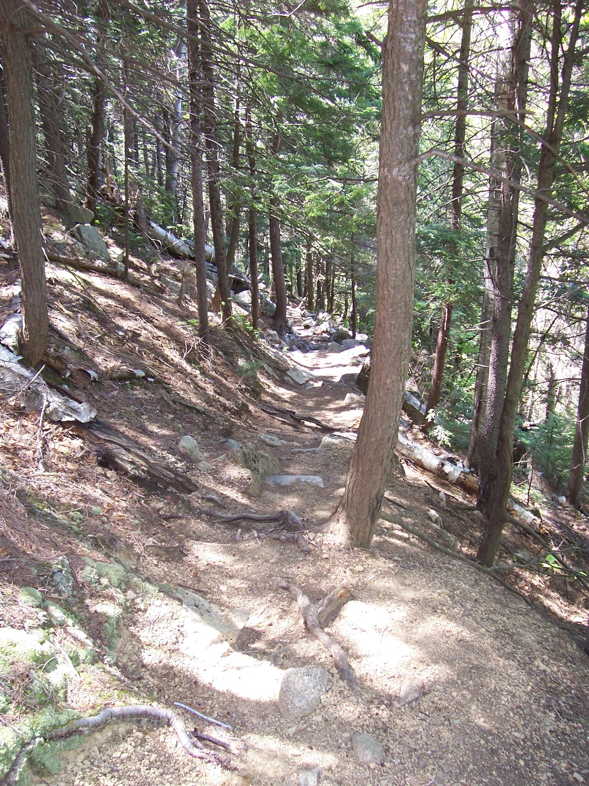 Something about "dauntingly steep"
